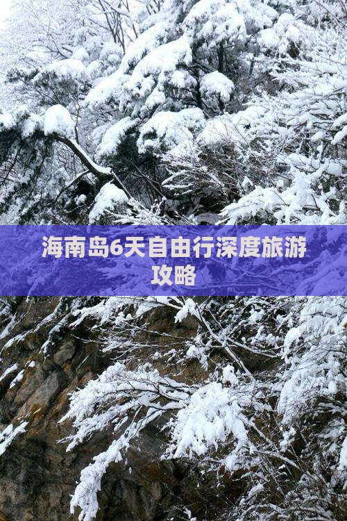 雷火竞技网址海南岛6天自由行深度旅游攻略(图7)