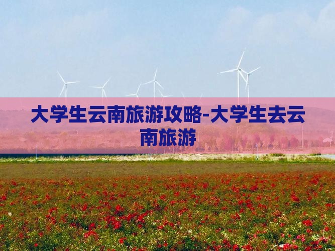 雷火竞技app大学生云南旅游攻略大学生去云南旅游(图8)
