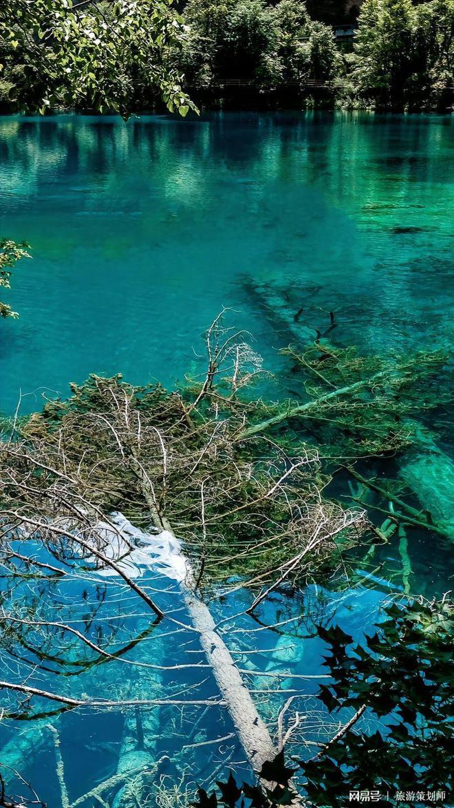 成都旅游5天要多少钱？攻略在手让你轻松掌控旅行预算雷火竞技下载(图2)