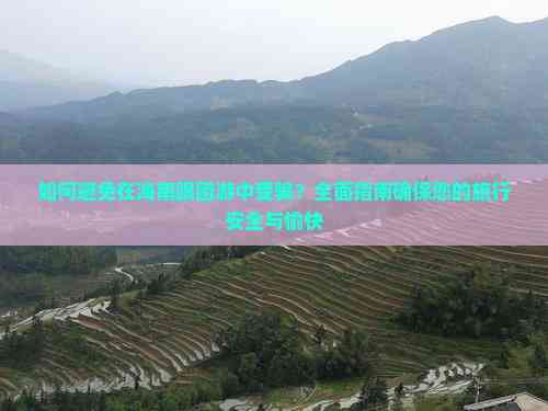 雷火竞技如何避免在海南跟团游中受骗？全面指南确保您的旅行安全与愉快(图4)