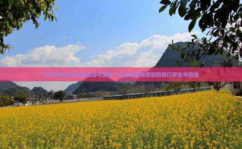 雷火竞技如何避免在海南跟团游中受骗？全面指南确保您的旅行安全与愉快(图5)