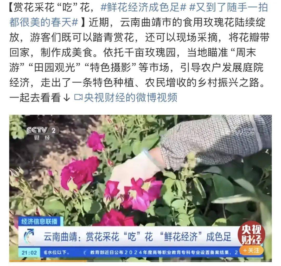 雷火竞技官网当春天来临时所有的准备都有了答案(图11)