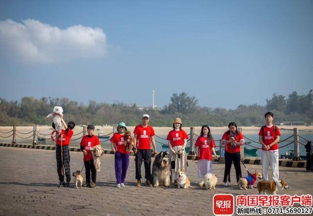 宠物也有旅行团“毛孩子”催生广西旅游新业态雷火竞技入口(图5)