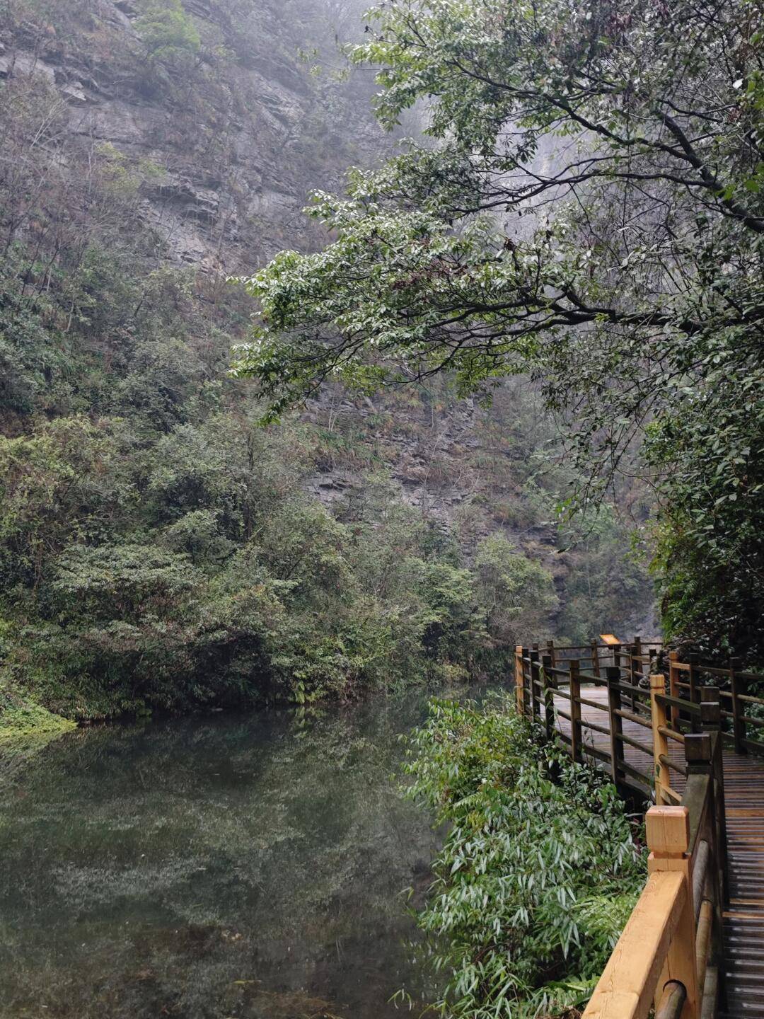 张家界旅游35天雷火竞技app价格35天费用区间早知晓(图2)
