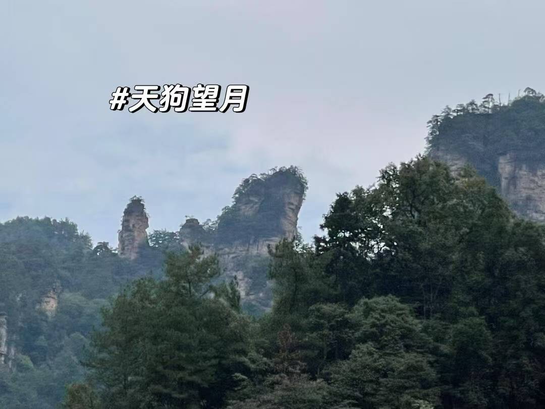 张家界旅游35天雷火竞技app价格35天费用区间早知晓(图3)