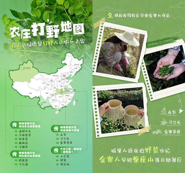 雷火竞技入口携程清明出游预测：太原门票订单大涨40%(图2)