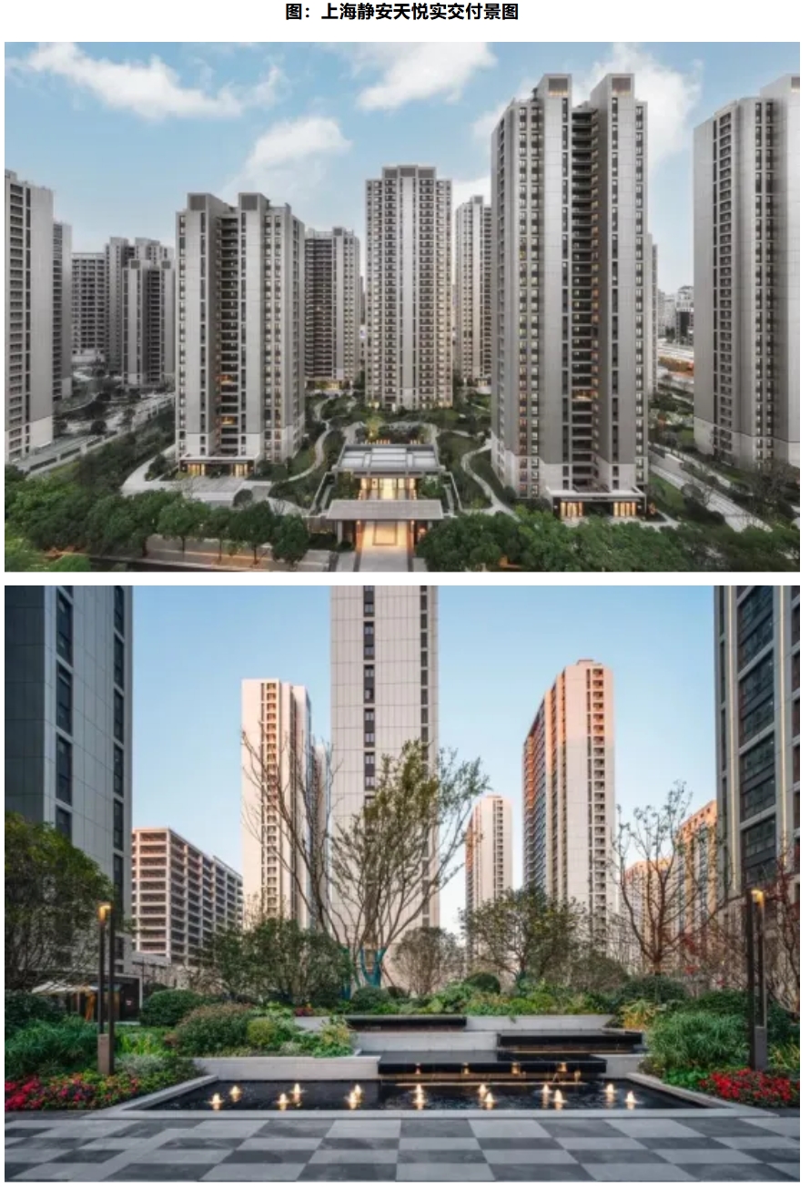 雷火竞技交付力研究 高端住宅交付的「品质内卷」与「体验进化」(图4)