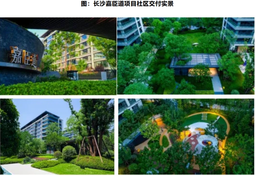 雷火竞技交付力研究 高端住宅交付的「品质内卷」与「体验进化」(图17)