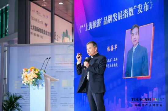 规模创历届新高2025上海雷火竞技官网旅游产业博览会来了(图13)