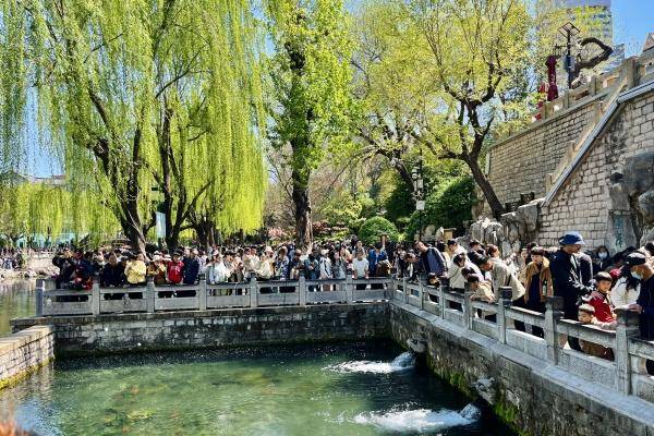 历下春日旅游热度攀升 人气爆棚满意度高雷火竞技平台(图4)