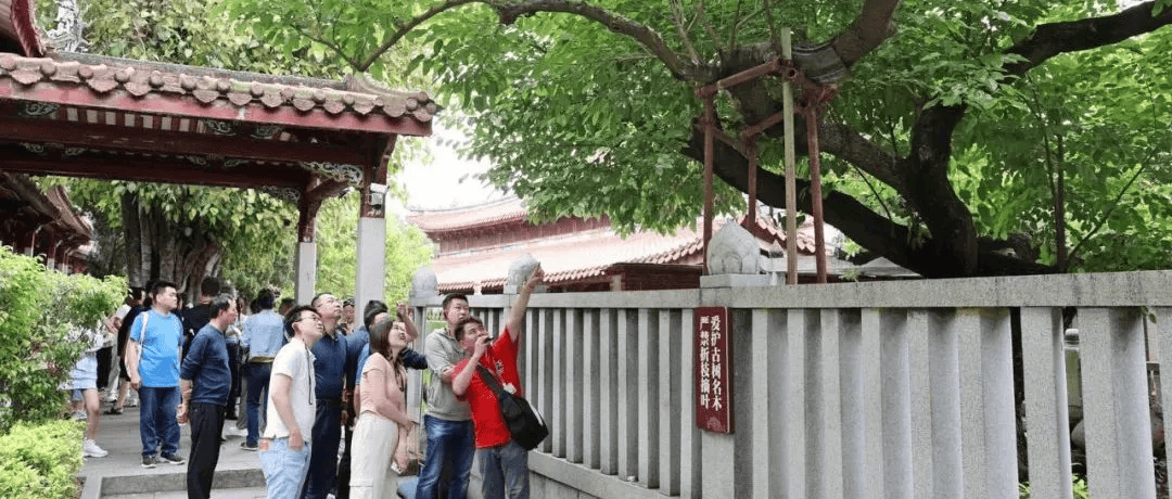 泉州文旅经济观察 火力全开洲际旗下品牌首驻泉州另外温陵路丰泽街等这些高端酒店也…雷火竞技网址(图13)